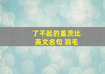 了不起的盖茨比英文名句 羽毛